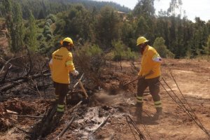 Armada despliega partidas forestales para colaborar en la contención del incendio forestal que afecta a la comuna de Santa Juana