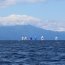 Regata Frutillar Armada de Chile