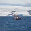 Armada realizó evacuación médica de científica chilena en Bahía Fildes.