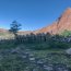 Destacamento de Infantería de Marina n°4 Cochrane entrena en los Dientes de Navarino.