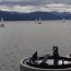 Con 16 veleros proveniente de 9 países se inició de regata “Desafío Cabo de Hornos”