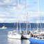 Con 16 veleros proveniente de 9 países se inició de regata “Desafío Cabo de Hornos”