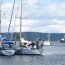 Con 16 veleros proveniente de 9 países se inició de regata “Desafío Cabo de Hornos”