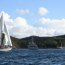 Con 16 veleros proveniente de 9 países se inició de regata “Desafío Cabo de Hornos”