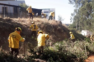 Brigada Forestal Armada participa en campaña preventiva de incendios en la provincia de Concepción Brigada Forestal Armada participa en campaña preventiva de incendios en la provincia de Concepción