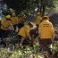 Brigada Forestal Armada participa en campaña preventiva de incendios en la provincia de Concepción