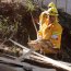 Brigada Forestal Armada participa en campaña preventiva de incendios en la provincia de Concepción