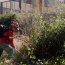 Brigada Forestal Armada participa en campaña preventiva de incendios en la provincia de Concepción