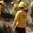 Brigada Forestal Armada participa en campaña preventiva de incendios en la provincia de Concepción