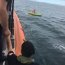 Autoridad Marítima de Ancud realizó rescate de kayakista en sector Faro Corona