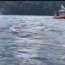  Armada desplegó dispositivo de seguridad ante histórico cruce a nado del Canal Beagle  