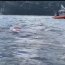 Armada desplegó dispositivo de seguridad ante histórico cruce a nado del Canal Beagle