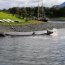 Armada despliega operativo ante varamiento de ballenas en Puerto Williams