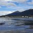 Armada despliega operativo ante varamiento de ballenas en Puerto Williams