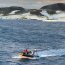 Patrullero Marinero Fuentealba cumple con éxito comisión Antártica 2020