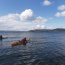 Autoridad Marítima apoya evento deportivo 3er Encuentro de Kayak de Chiloé
