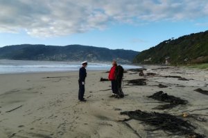 Dotaciones de la Capitanía de Puerto de Maullín fiscalizaron playas de la jurisdicción durante fin de semana largo Dotaciones de la Capitanía de Puerto de Maullín fiscalizaron playas de la jurisdicción durante fin de semana largo