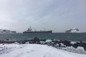 Armada inicia operativo ante varamiento de buque "La Manche" en la Antártica Armada inicia operativo ante varamiento de buque "La Manche" en la Antártica