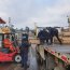 Armada apoya recepción y traslado de camas clínicas en Puerto Williams