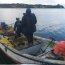 Autoridad Marítima incautó 300 kilos de erizos en Chiloé