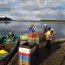  Autoridad Marítima incautó 300 kilos de erizos en Chiloé.  