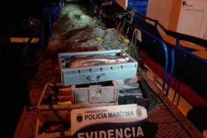 En Quemchi Autoridad Marítima incautó 150 kilos de merluza austral En Quemchi Autoridad Marítima incautó 150 kilos de merluza austral