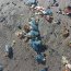 Armada verificó presencia de más de 500 ejemplares de Fragata Portuguesa en borde costero de Quemchi