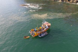 Tres toneladas de erizos fueron incautados en el área del Raúl Marín Balmaceda