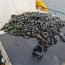  Armada y Sernapesca incautaron 100 kilos de recurso choro  
