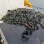 Armada y Sernapesca incautaron 100 kilos de recurso choro