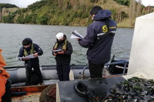 Armada y Sernapesca incautaron 100 kilos de recurso choro