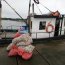 Armada y Sernapesca incautan 316 kilos de almejas en fiscalizaciones conjuntas