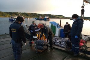 Armada y Sernapesca incautan 316 kilos de almejas en fiscalizaciones conjuntas Armada y Sernapesca incautan 316 kilos de almejas en fiscalizaciones conjuntas