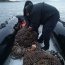 Armada y Sernapesca realizan en conjunto incautaciones de recursos del mar en el área de Melinka