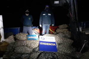Armada incauta 2,5 toneladas de almejas en Queilén Armada incauta 2,5 toneladas de almejas en Queilén