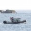 Avistamiento de delfines en la bahía de Quintero sorprendió a la comunidad
