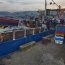 Histórica incautación: Más de 32 toneladas de erizo en Quellón