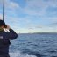 Se mantienen labores de rebusca en Golfo Corcovado con gran apoyo de naves civiles