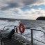 Armada reanudó operación de búsqueda y salvamento en área de golfo Corcovado