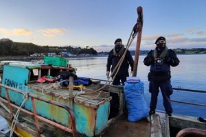 Autoridad Marítima incautó 200 kilos de erizo en Quemchi Autoridad Marítima incautó 200 kilos de erizo en Quemchi