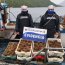 Dos toneladas de erizo son incautadas en Puerto Aguirre
