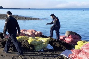 Autoridad Marítima incautó 140 sacos de almeja