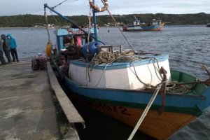 Patrullaje conjunto con Sernapesca logra incautación de más de 300 kilos de choros