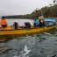 En fiscalización pesquera sorprenden embarcación con 150 kilos de erizo