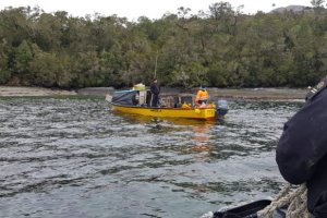 En fiscalización pesquera sorprenden embarcación con 150 kilos de erizo