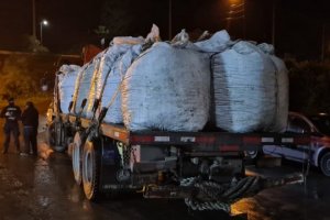 Policía Marítima de Chonchi incautó 8 toneladas de chorito