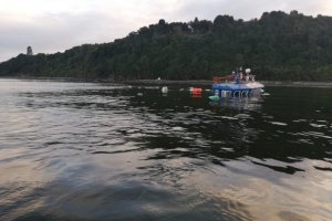 Pontón de salmonera varó en sector de Quillaipe