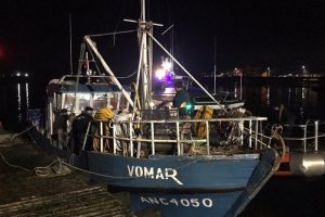 En Melinka se incautaron 2,2 toneladas de erizo En Melinka se incautaron 2,2 toneladas de erizo