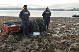 En playa Ten Ten de Castro detectan 300 kilos de choro zapato En playa Ten Ten de Castro detectan 300 kilos de choro zapato