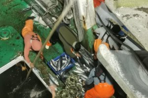 Autoridad Marítima de Coronel recuperó pesca sustraída desde pesquero de alta mar “Don Manuel” e incautó embarcacion que habría participado en el ilícito Autoridad Marítima de Coronel recuperó pesca sustraída desde pesquero de alta mar “Don Manuel” e incautó embarcacion que habría participado en el ilícito